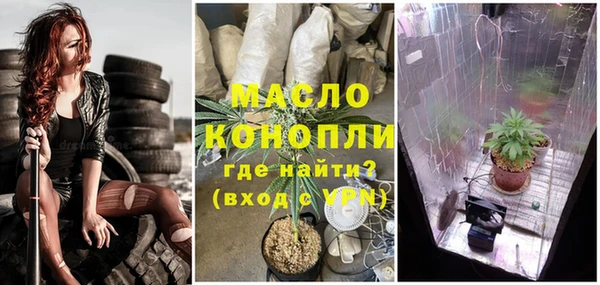 гидра Аркадак