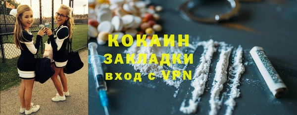 гидра Аркадак