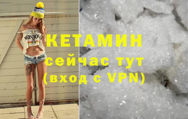 гидра Аркадак