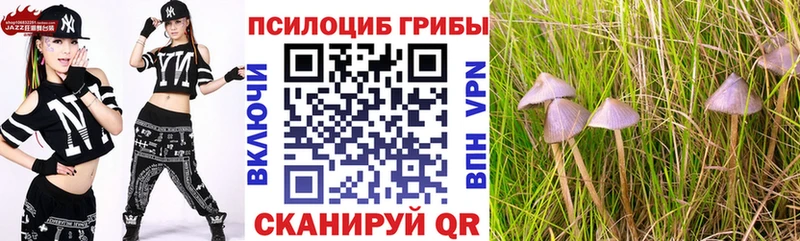 Галлюциногенные грибы Psilocybine cubensis  Аркадак 